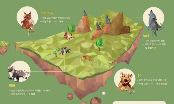 비주얼인포메이션.jpg